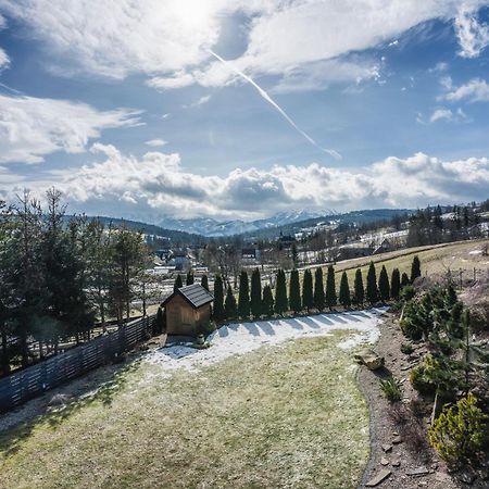 Visitzakopane - Willa Karina Witów エクステリア 写真